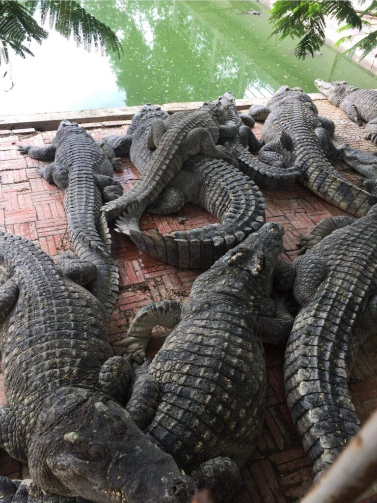 photo_2026-01-04_22-38-37